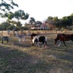 Heartland Hideaway - Rent Accommodation 0