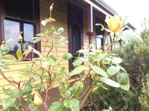 Albion Cottage - Rent Accommodation 4