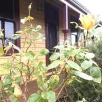 Albion Cottage - Rent Accommodation 0