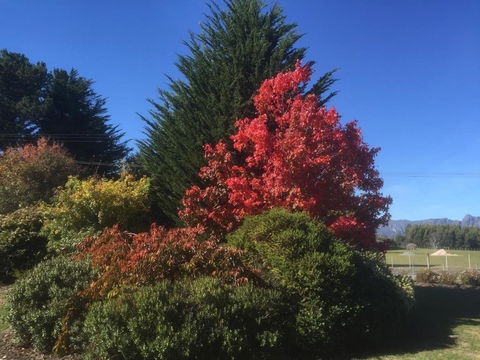 Highgrove - Rent Accommodation 2