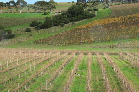 Hotel California Road Inkwell Wines - Rent Accommodation 4