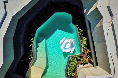 Alkira Award Winning Luxury Holiday Home - Rent Accommodation 6