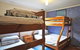Surf Plazu PET Friendly - thumb 6