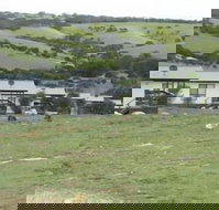 Waves and Wildlife - Rent Accommodation