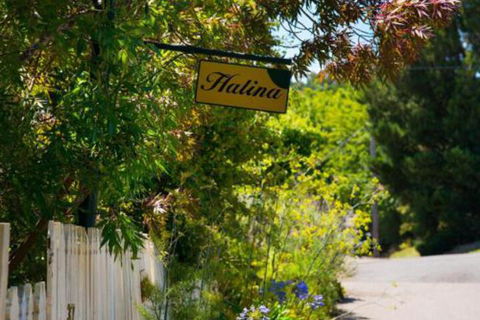 Halina - Rent Accommodation 6