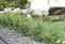 Comfort Inn Albany - Rent Accommodation 4