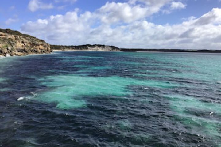 Vivonne Bay SA Rent Accommodation