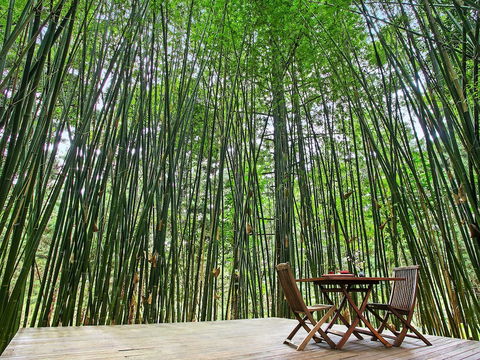 Azabu Boutique Accommodation Byron Bay - Rent Accommodation 0