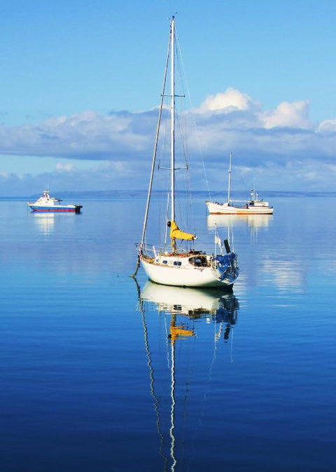 The Hakeas - Rent Accommodation 1