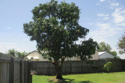 Fishermans Cottage Hervey Bay - Rent Accommodation 2