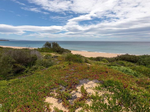 Aloha Direct Beach Access From Property - Rent Accommodation 3