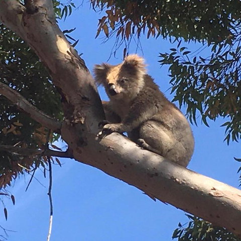 Beachside House - Rent Accommodation 3