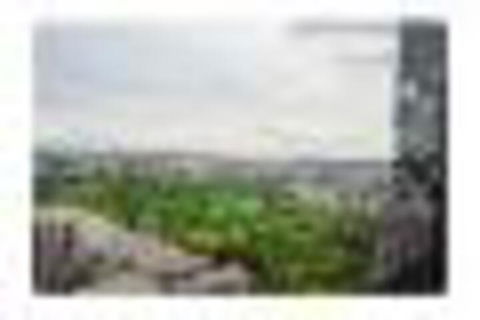 Cbd 2 Bed 1908 Apartment - Rent Accommodation 4