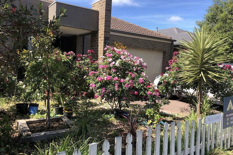 Apple House - Rent Accommodation 2