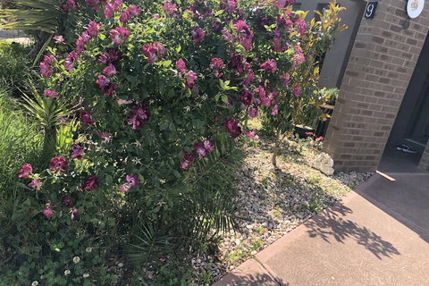 Apple House - Rent Accommodation 1