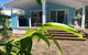 Harveys Beach House - thumb 0