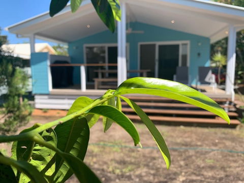 Harveys Beach House - Rent Accommodation 0