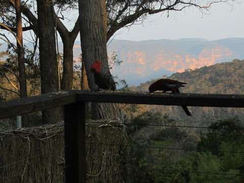 Canyon Cottage - Rent Accommodation 6