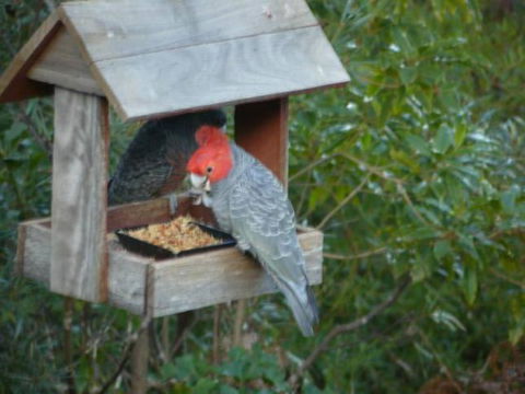 Canyon Cottage - Rent Accommodation 4