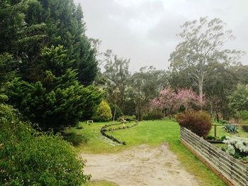 Acacia House Retreat Daylesford - Rent Accommodation 1