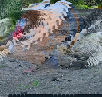 Halls Haven Holiday Units - Rent Accommodation