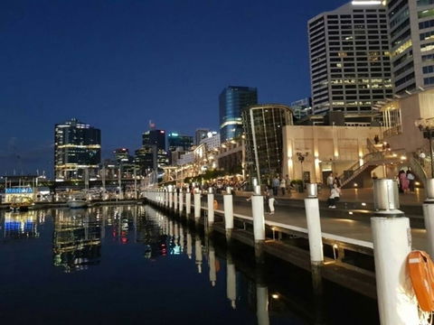 A19 Darling Harbour 2 BDR APT - Rent Accommodation 0