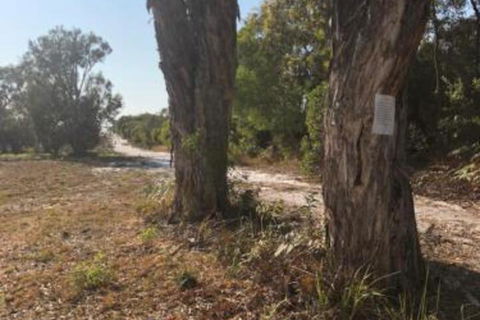 COONARR BEACH ( BUNDABERG )CAMPING - Rent Accommodation 0