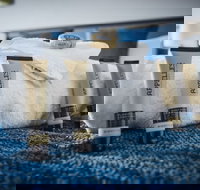 The Remington Orange - Rent Accommodation