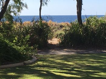 On The Shores Of Geographe Bay - Rent Accommodation 5