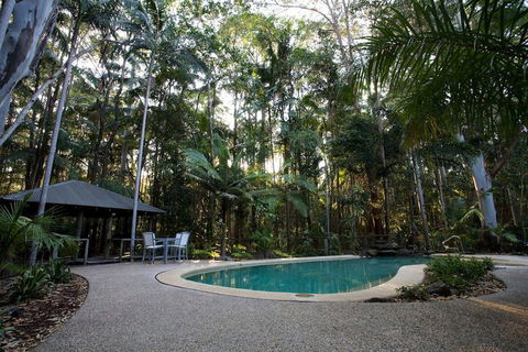 Amore On Buderim Luxury Rainforest Cabins - Rent Accommodation 2