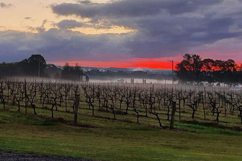 Adina Vineyard - Rent Accommodation 4