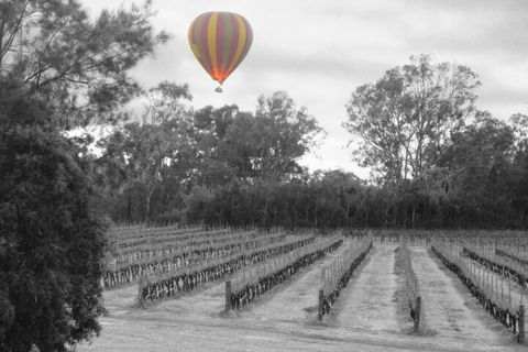 Adina Vineyard - Rent Accommodation 5