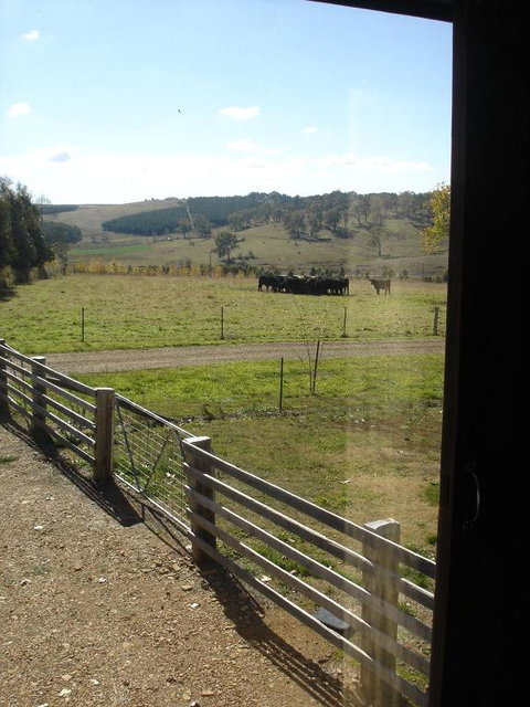 Black Sheep Inn - Rent Accommodation 3