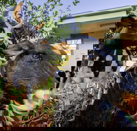 Big4 Shepparton Park Lane - Rent Accommodation