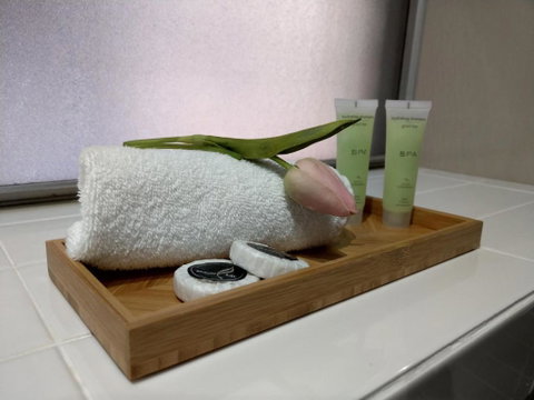 North Melbourne Retreat - Rent Accommodation 2