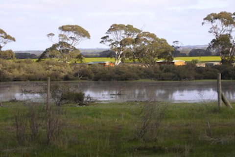 Seal Bay Cottages - Rent Accommodation 5