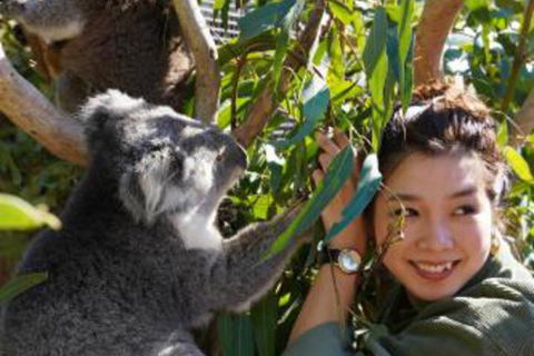 Fauna Australia Wildlife Retreat - Rent Accommodation 2