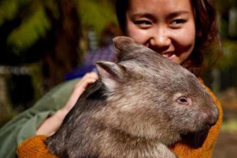 Fauna Australia Wildlife Retreat - Rent Accommodation 0