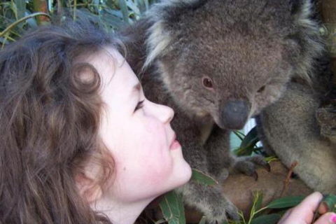 Fauna Australia Wildlife Retreat - Rent Accommodation 3