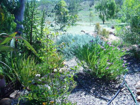 Old Miners Cottages Bed & Breakfast - Rent Accommodation 3