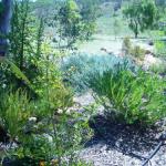 Old Miners Cottages Bed & Breakfast - Rent Accommodation 0