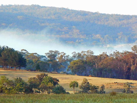 Candlebark Retreat - Rent Accommodation 5