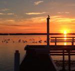 Bayview Boathouse - Rent Accommodation