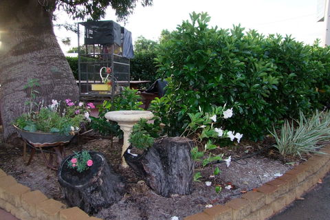 Acacia Motel - Rent Accommodation 2
