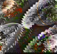 Niche  Co. - Rent Accommodation