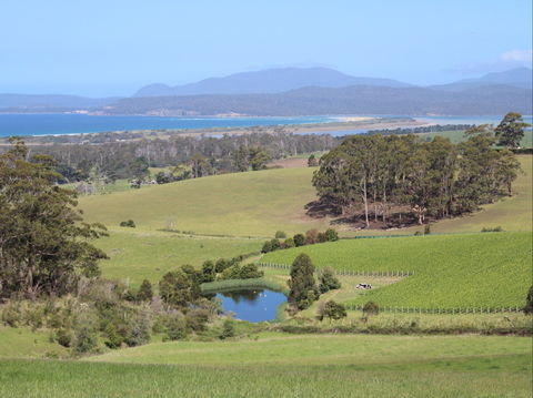 Cape Bernier Vineyard - Rent Accommodation 1