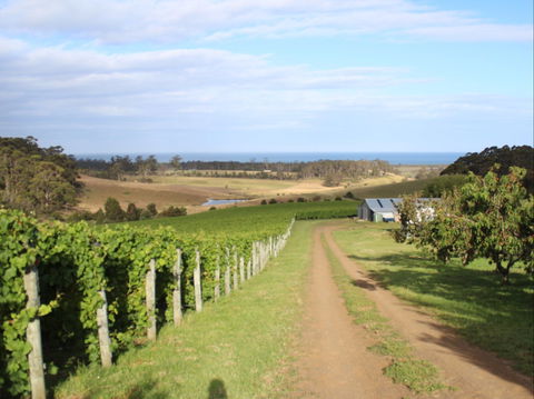 Cape Bernier Vineyard - Rent Accommodation 2