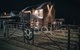 Boiler House Restaurant - thumb 0