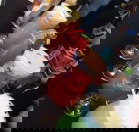 Wiseguy Espresso and Schnitzel Bar - Rent Accommodation