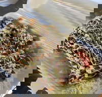 Meshiya Japanese - Rent Accommodation